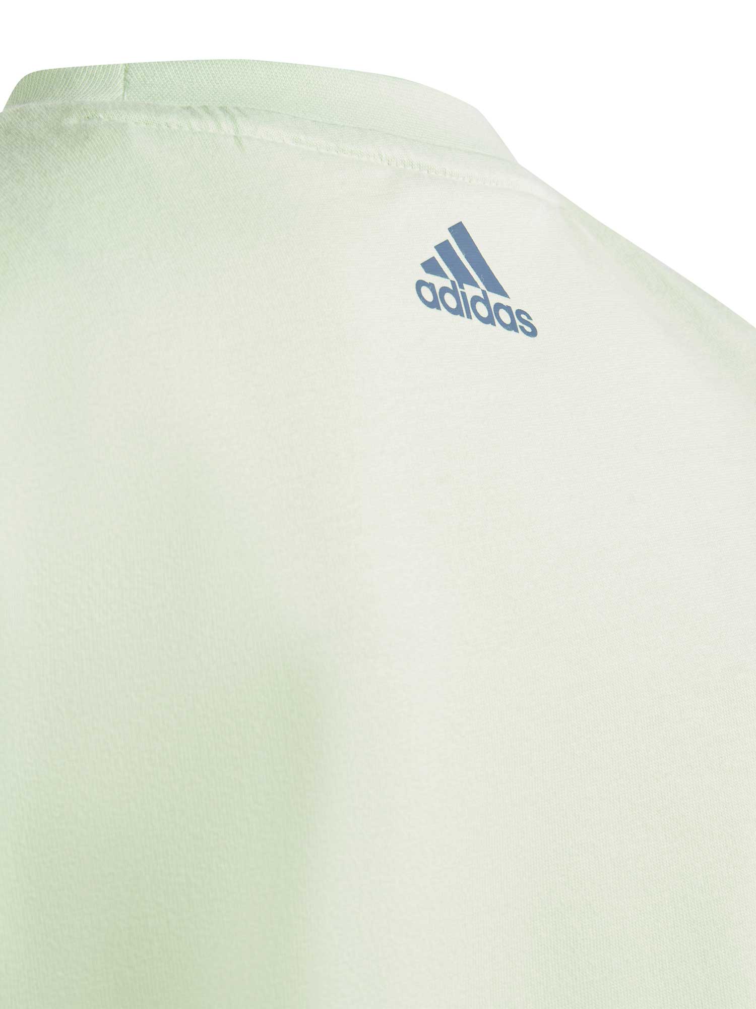 ADIDAS SPORTSWEAR Тениска Essentials Lineage T-Shirt