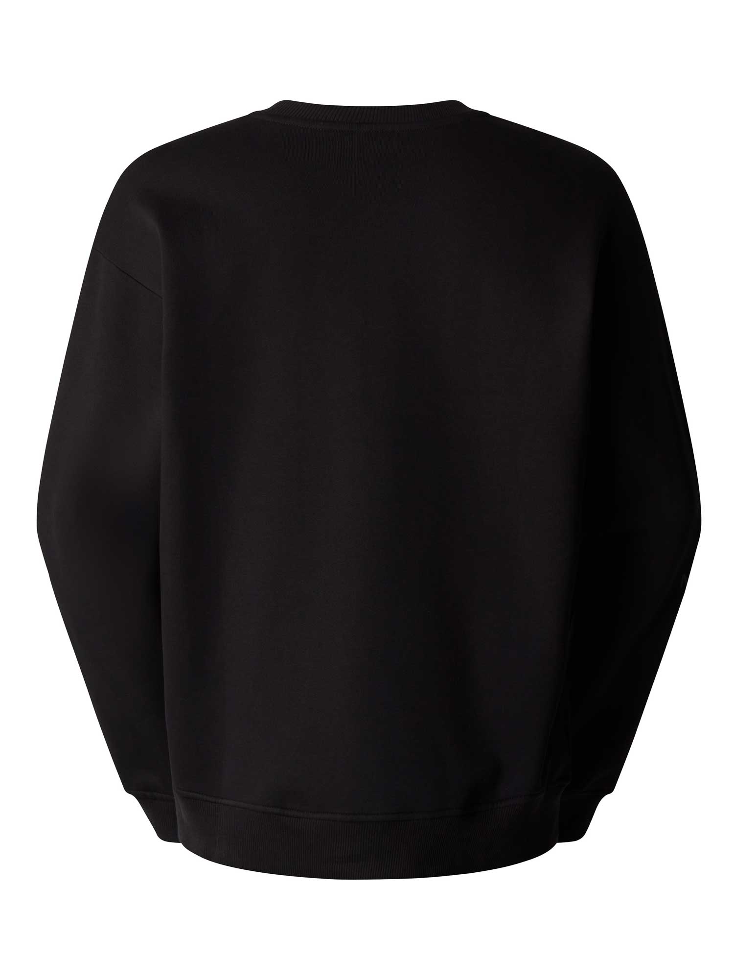THE NORTH FACE Блуза U TNF X YINKA ILORI GRAPHIC CREW