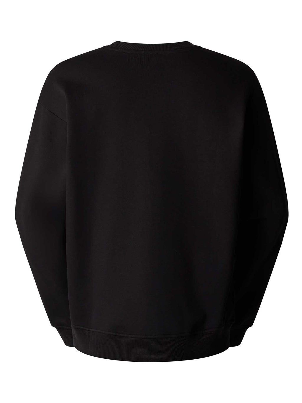 THE NORTH FACE Блуза U TNF X YINKA ILORI GRAPHIC CREW