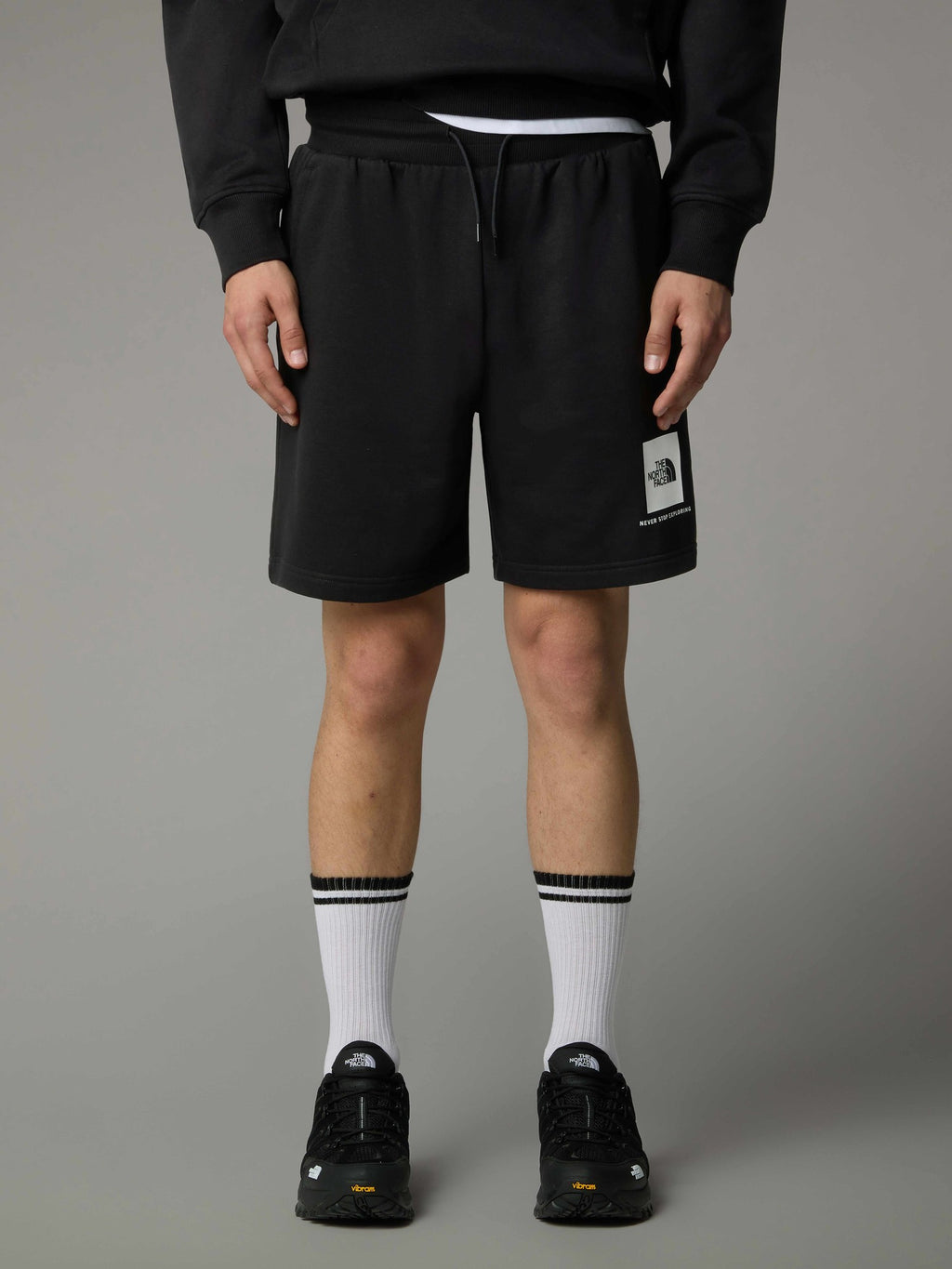 THE NORTH FACE Къси панталони M BOX NSE REGULAR SHORT