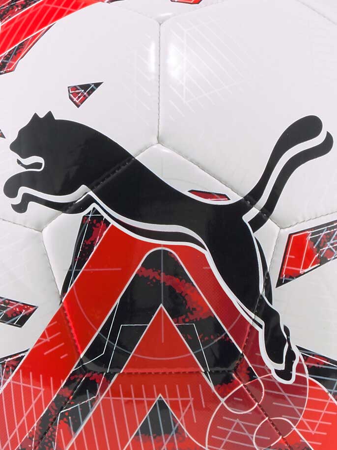 PUMA TEAM Футболна топка Orbita 6 MS