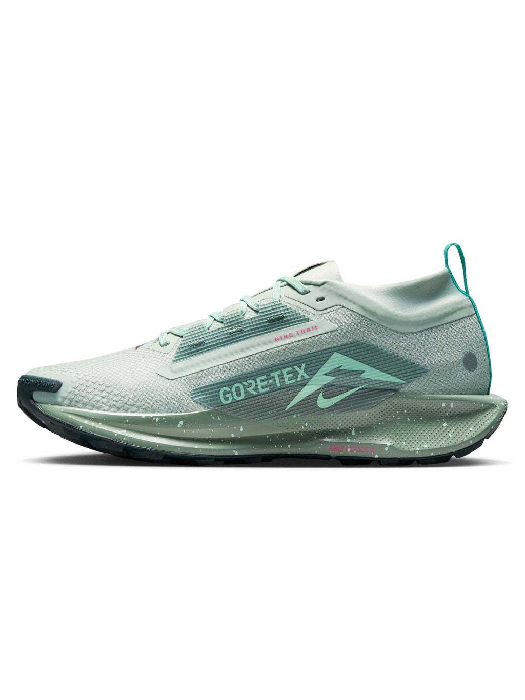 NIKE Обувки PEGASUS TRAIL 5 GTX