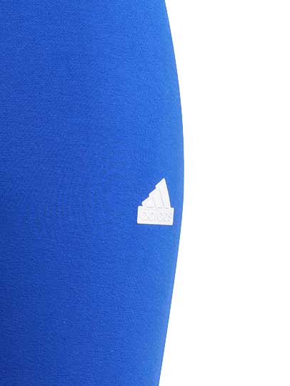 ADIDAS SPORTSWEAR Клин Future Icons 3-Stripes Leggings