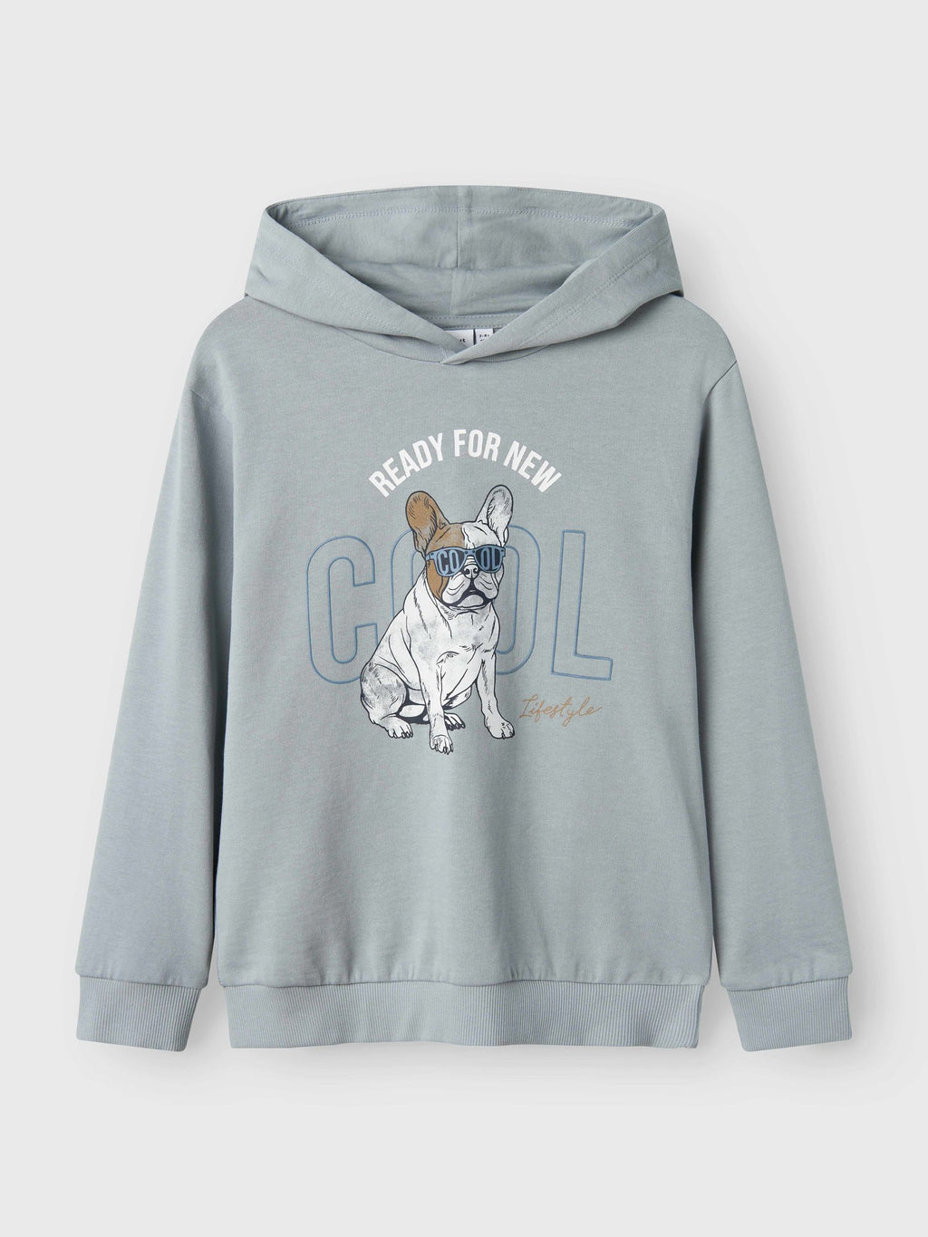 NAME IT Суитшърт NKMBEDOG LS NREG SWEAT WH UNB