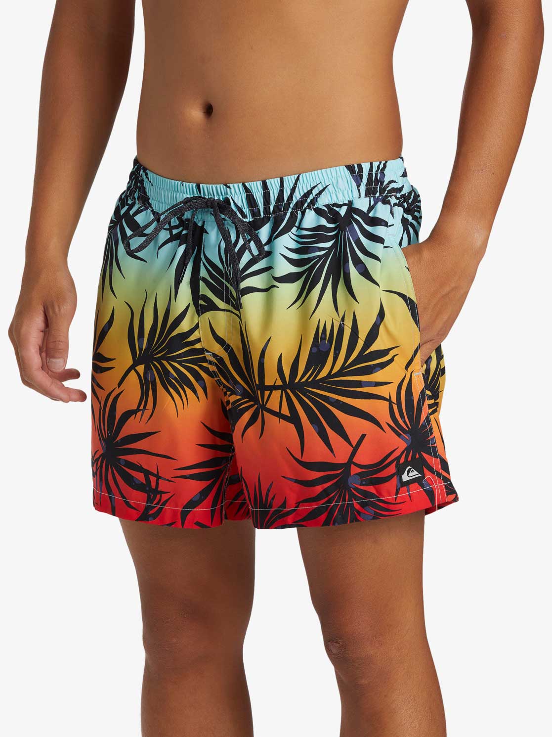 QUIKSILVER Плувни шорти EVERYDAY MIX VOLLEY 15