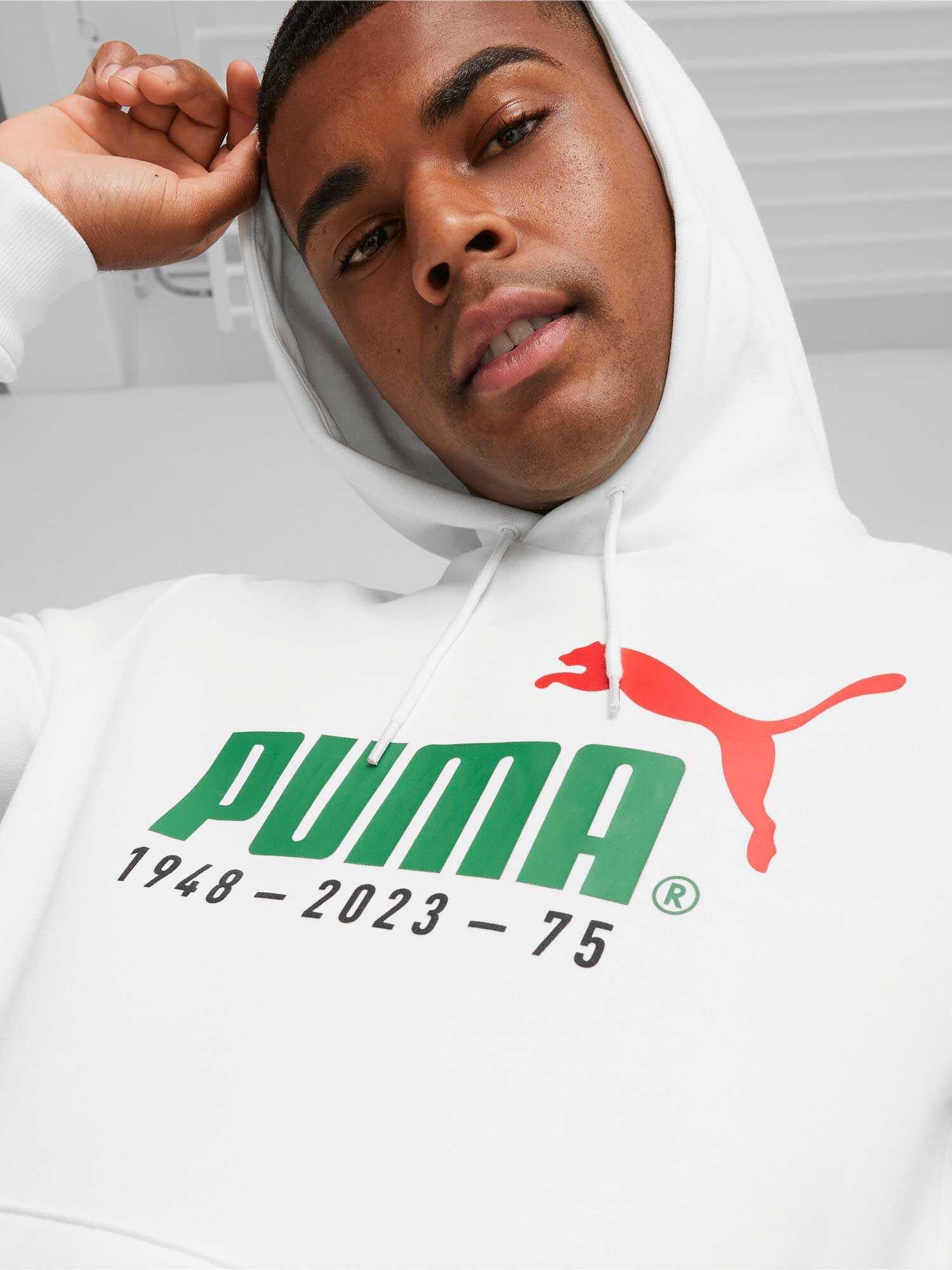 PUMA Суитшърт No. 1 Logo Celebration Hoodie FL