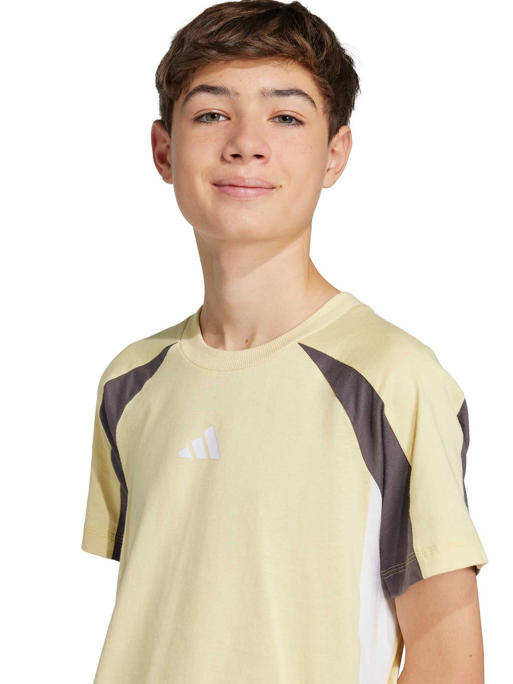 ADIDAS SPORTSWEAR Тениска Seasonal Essentials Colorblock T-Shirt