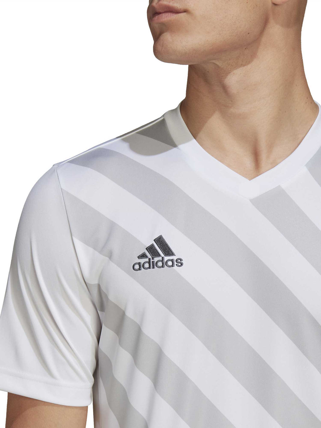 ADIDAS PERFORMANCE Тениска Entrada 22 Graphic Jersey