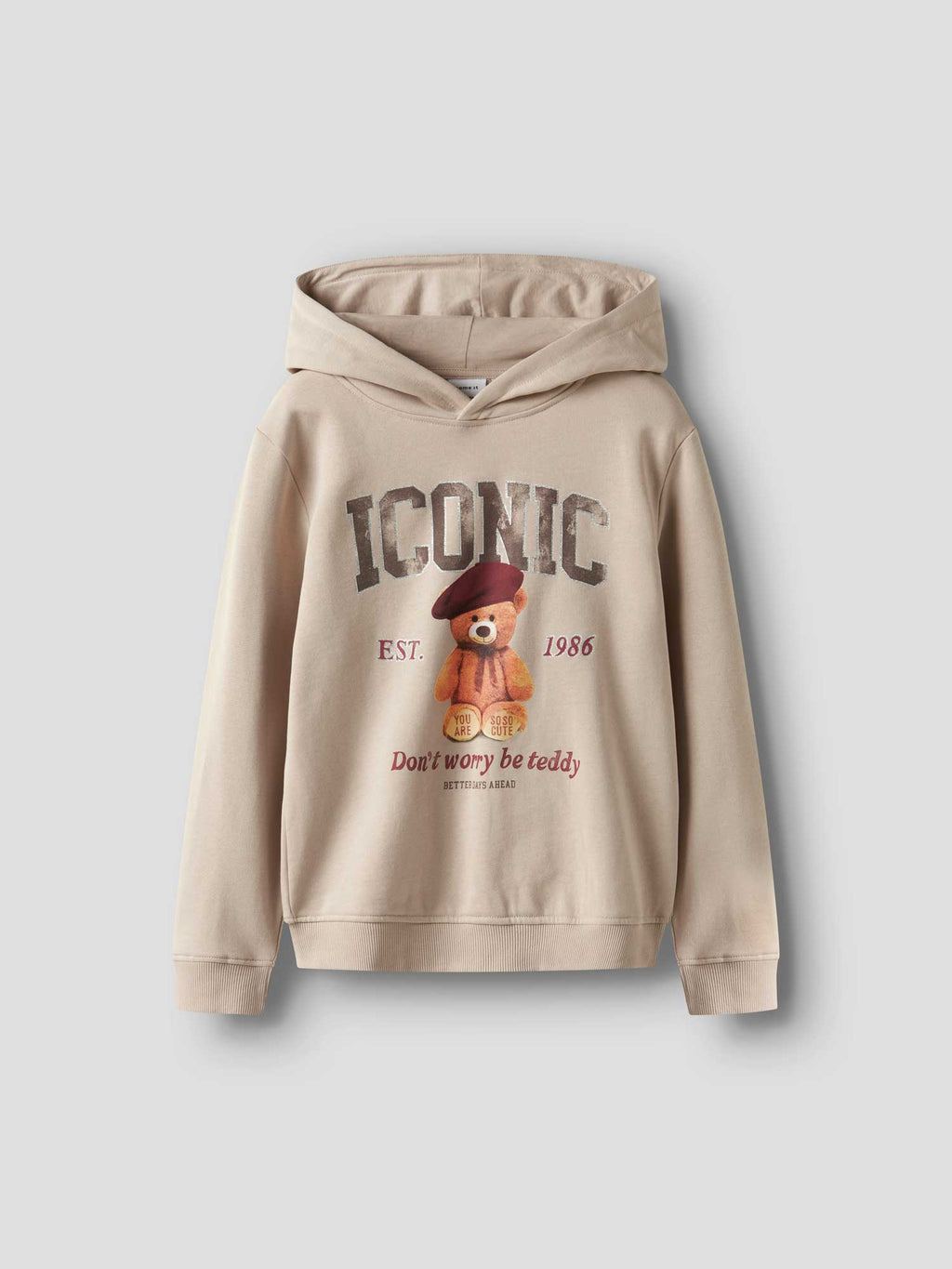 NAME IT Суитшърт NKFRYCCA LS NREG SWEAT WH BRU BOX