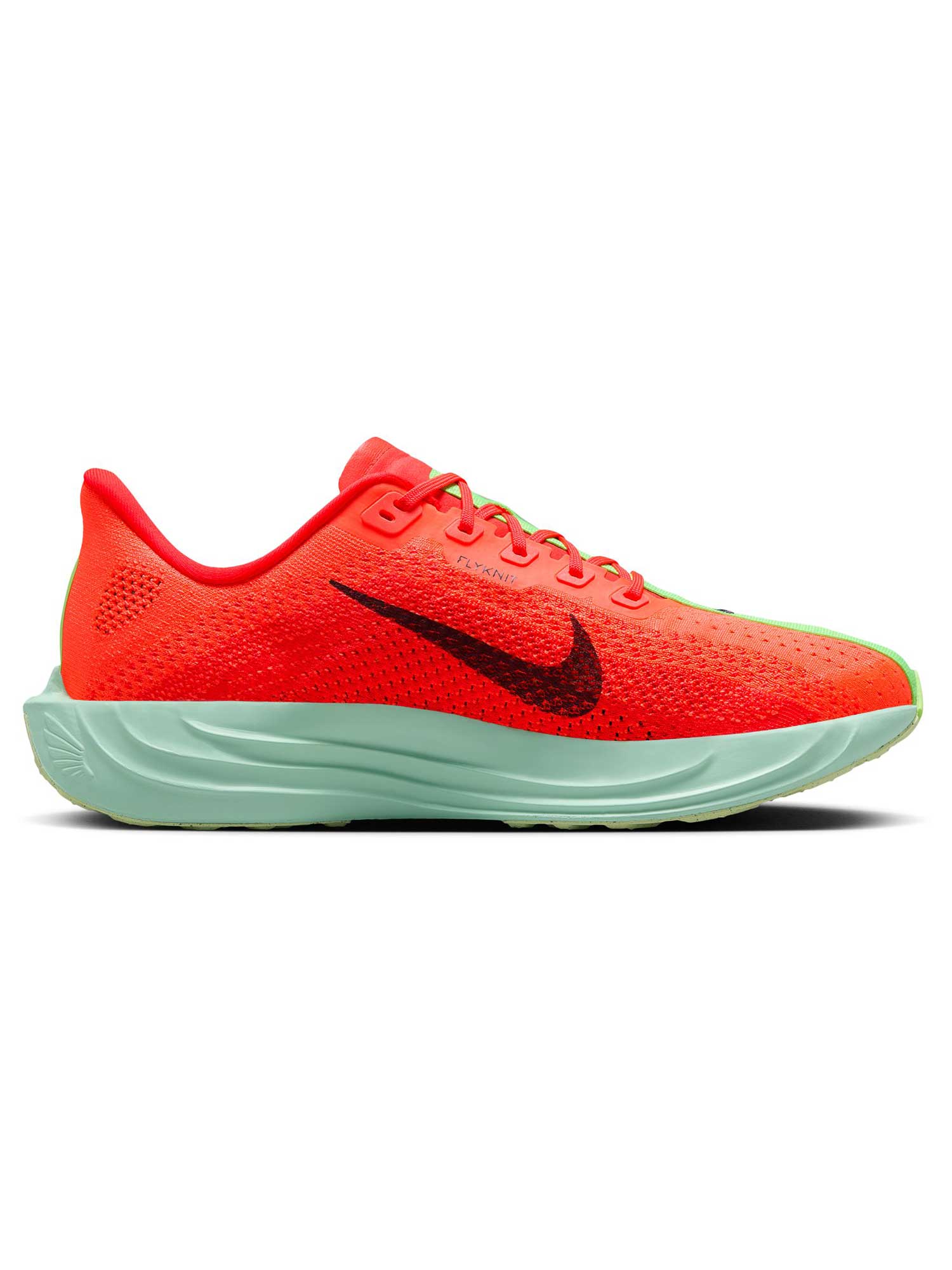 NIKE Обувки PEGASUS PLUS