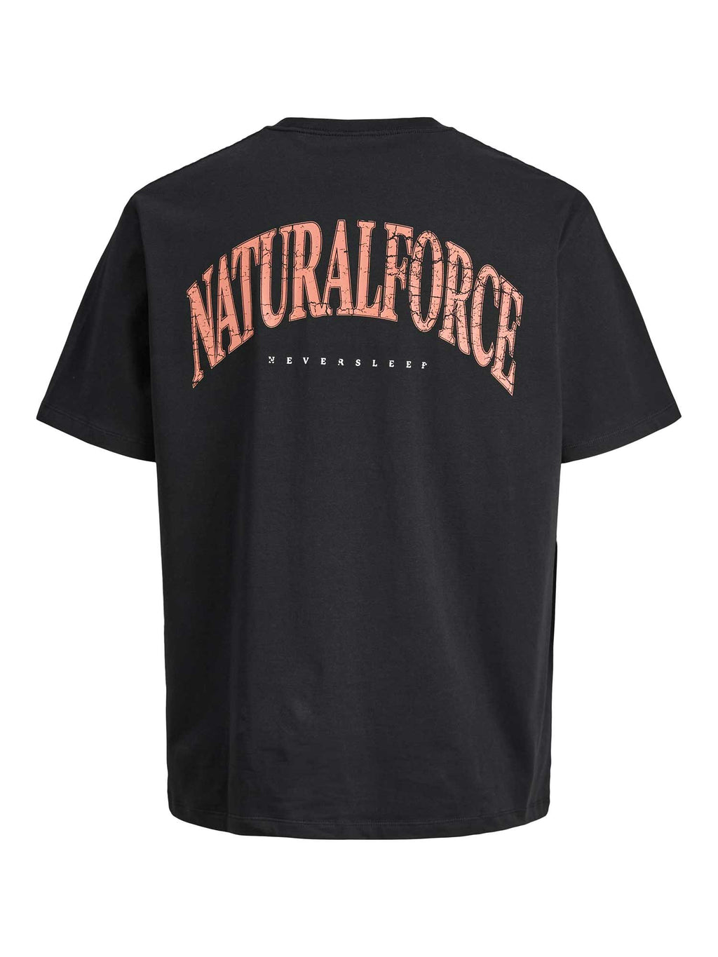 JACK & JONES Тениска JOREAGLEROCK GALLERY TEE SS CREW NECK TG