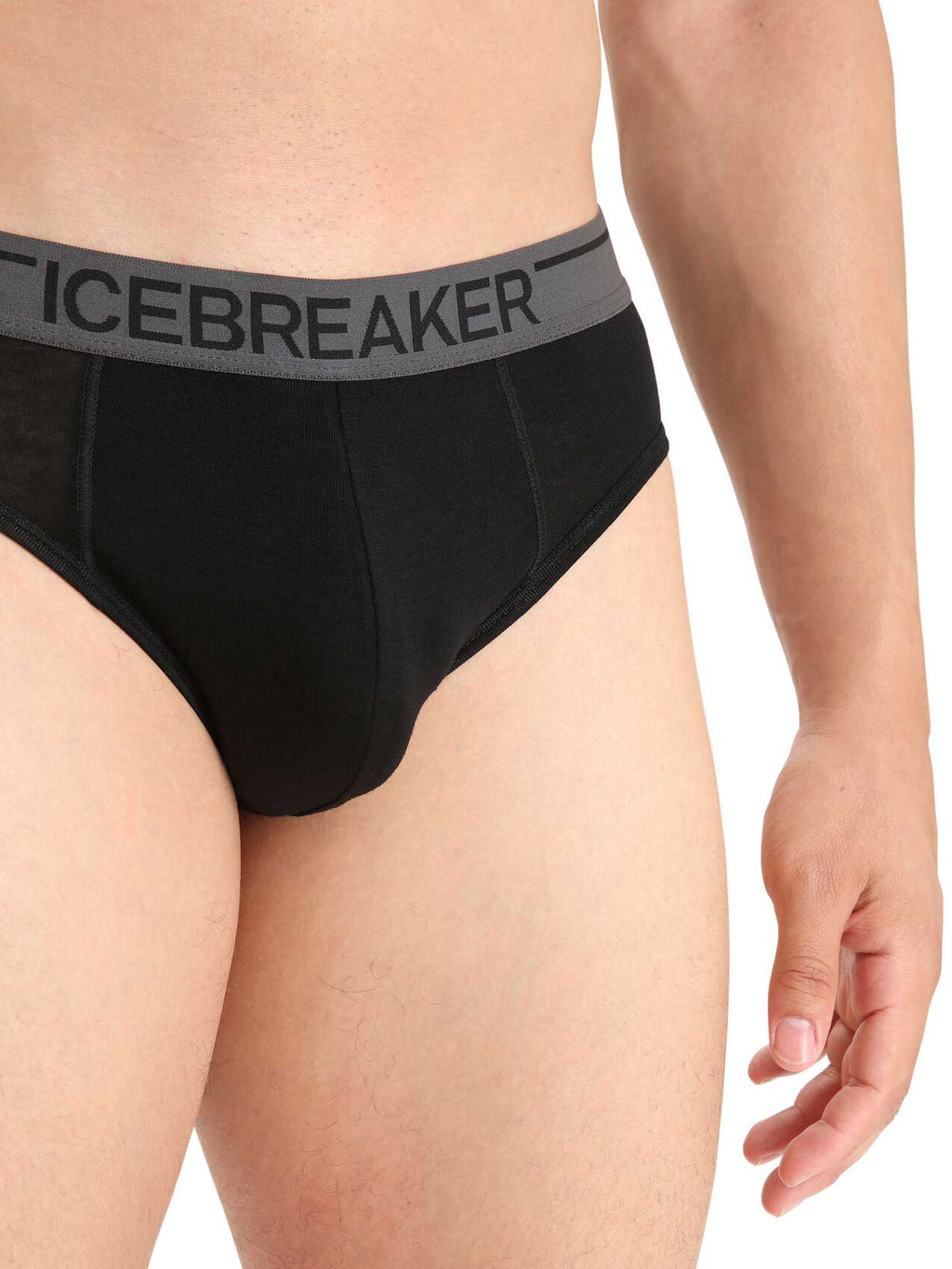 ICEBREAKER Бельо M Anatomica Briefs