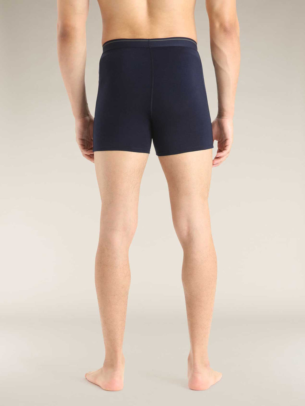 ICEBREAKER Боксерки M Anatomica