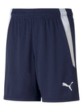 PUMA TEAM Къси панталони teamLIGA Jr