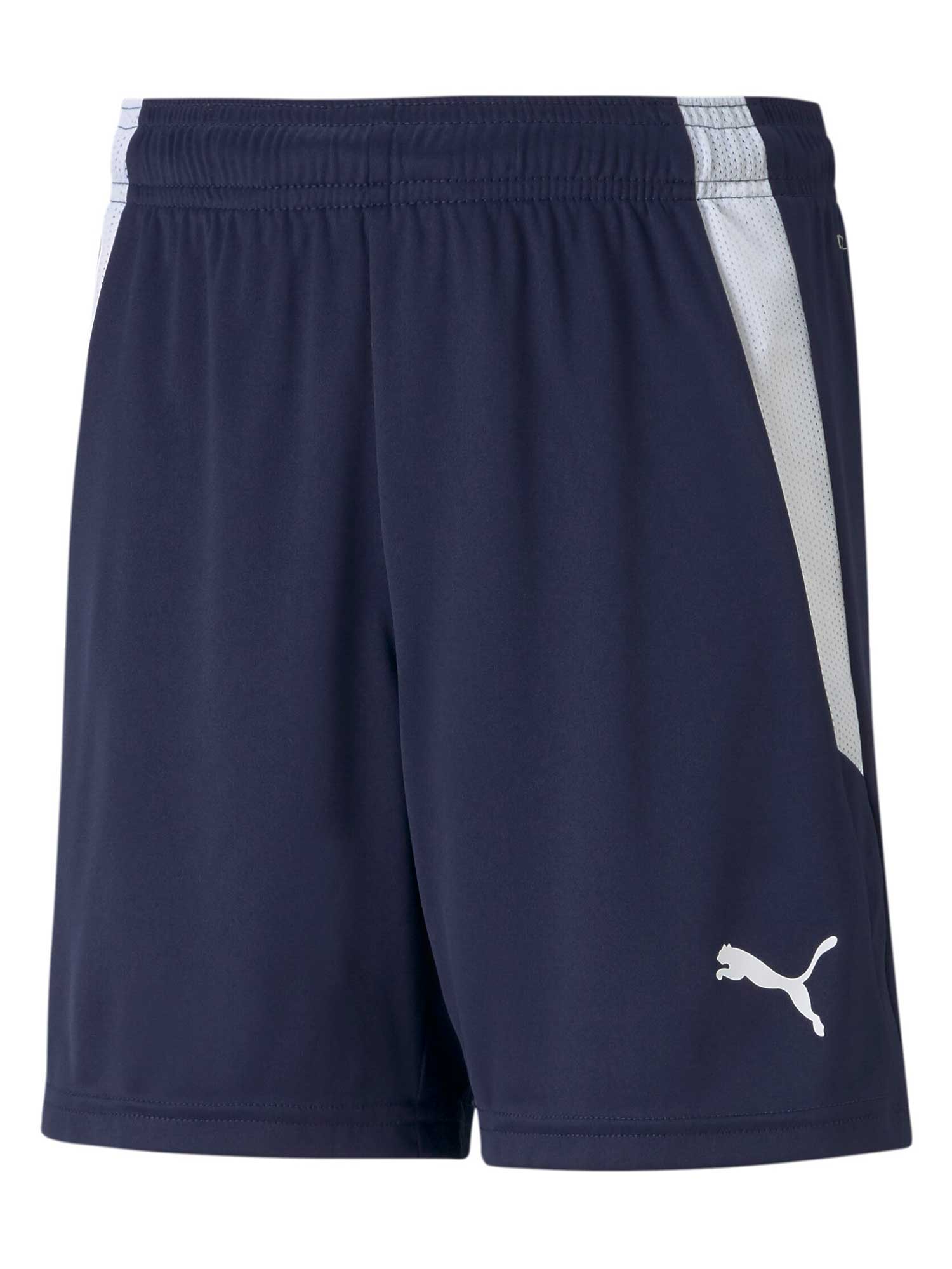 PUMA TEAM Къси панталони teamLIGA Jr