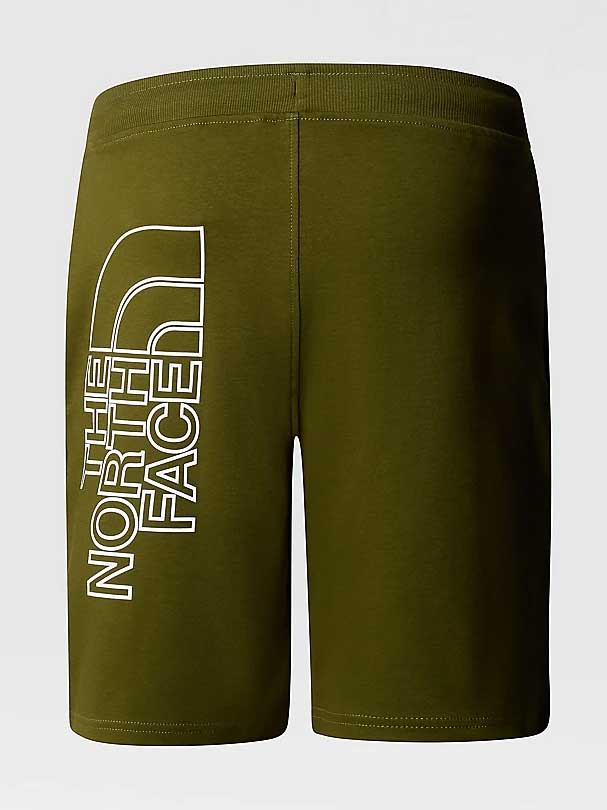 THE NORTH FACE Къси панталони M GRAPHIC SHORT LIGHT