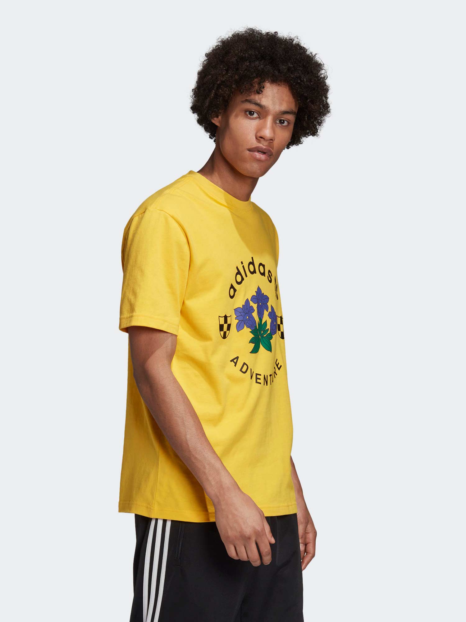 ADIDAS ORIGINALS Тениска ADV GRAPHIC