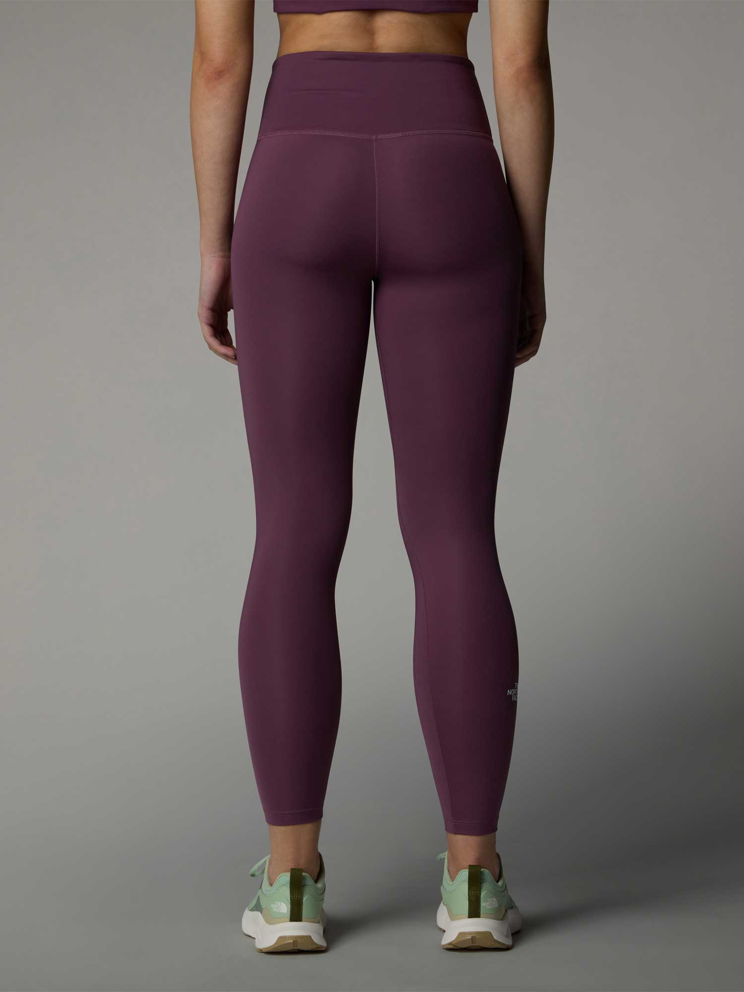THE NORTH FACE Клин W FLEX 25IN TIGHT