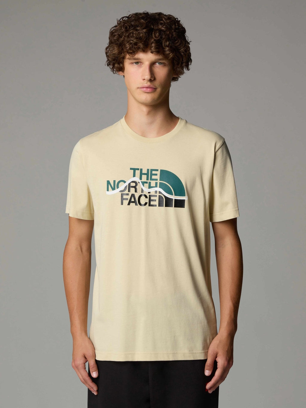 THE NORTH FACE Рокля W SS ESSENTIAL OVERSIZE TEE DRESS