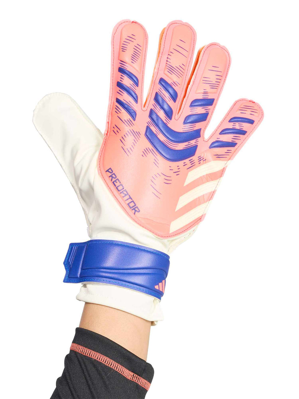 ADIDAS PERFORMANCE Вратарски ръкавици Predator Training