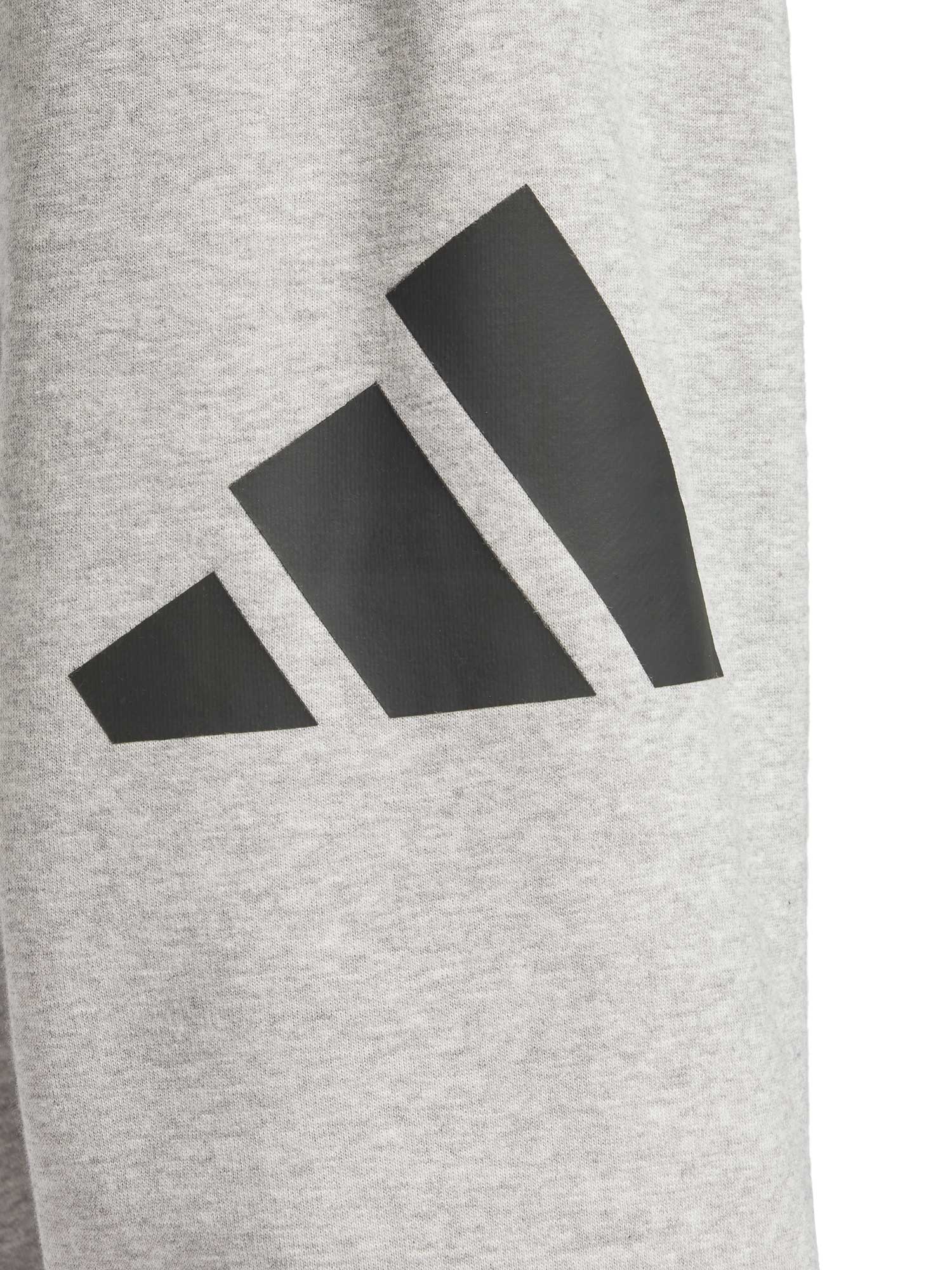 ADIDAS SPORTSWEAR Спортно долнище Essentials Big Logo French Terry