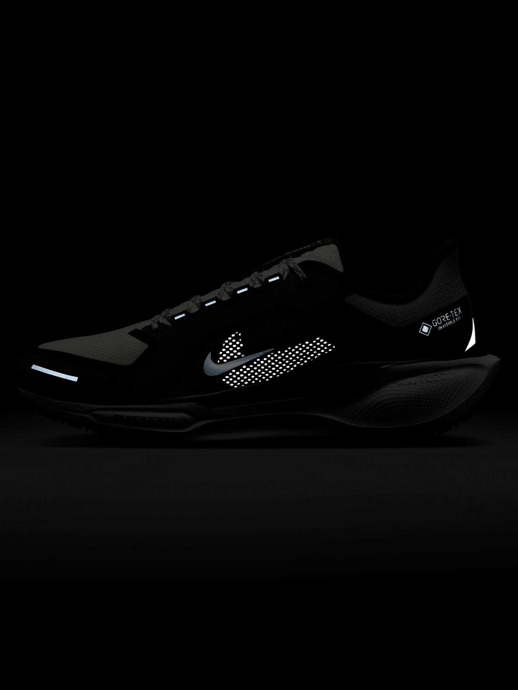 NIKE Обувки AIR ZM PEGASUS 41 GTX
