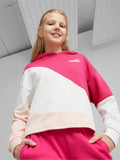 PUMA Суитшърт POWER Colorblock CAT Hoodie G