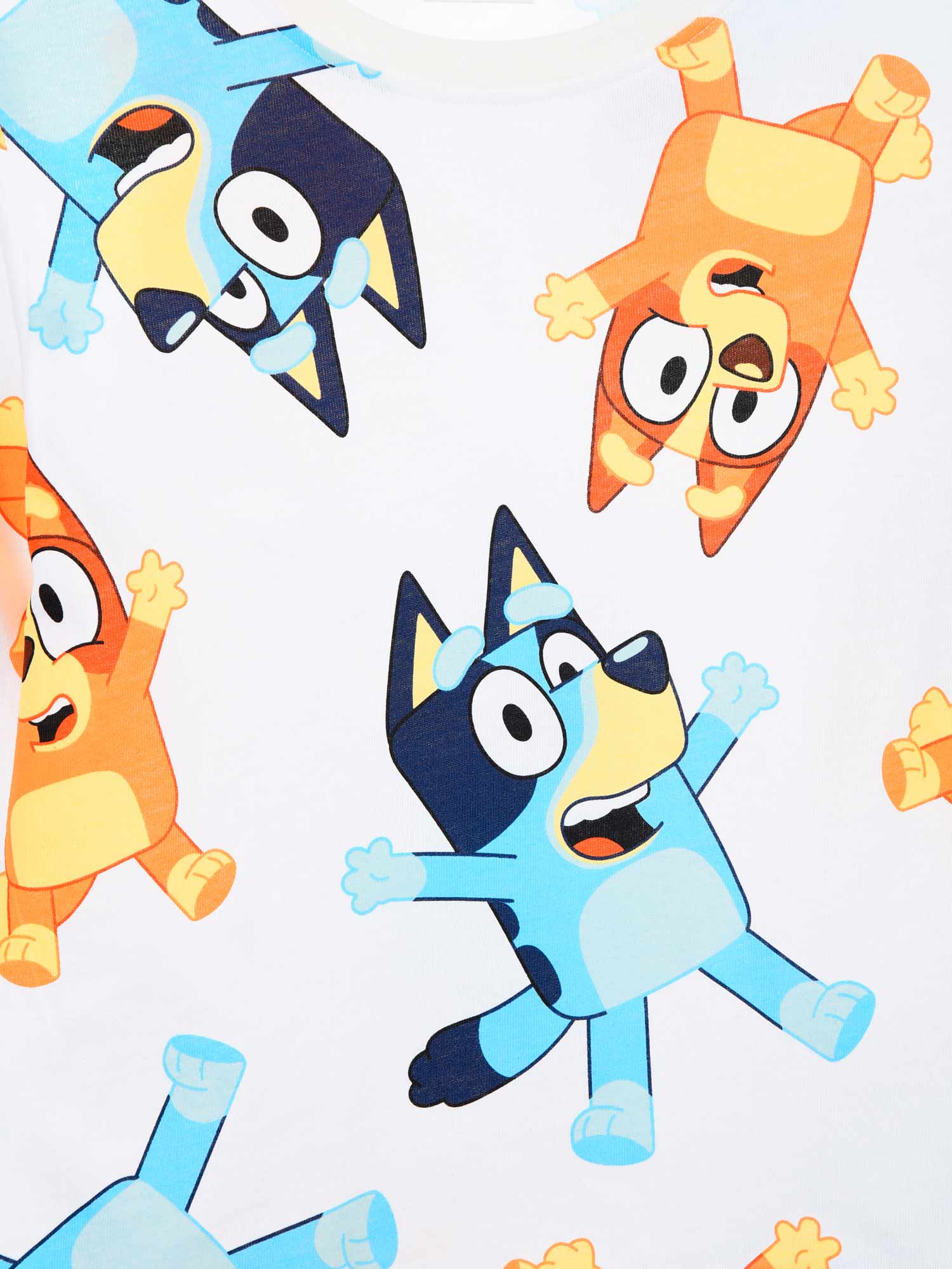 KIDS MOVIE HEROES Блуза Bluey