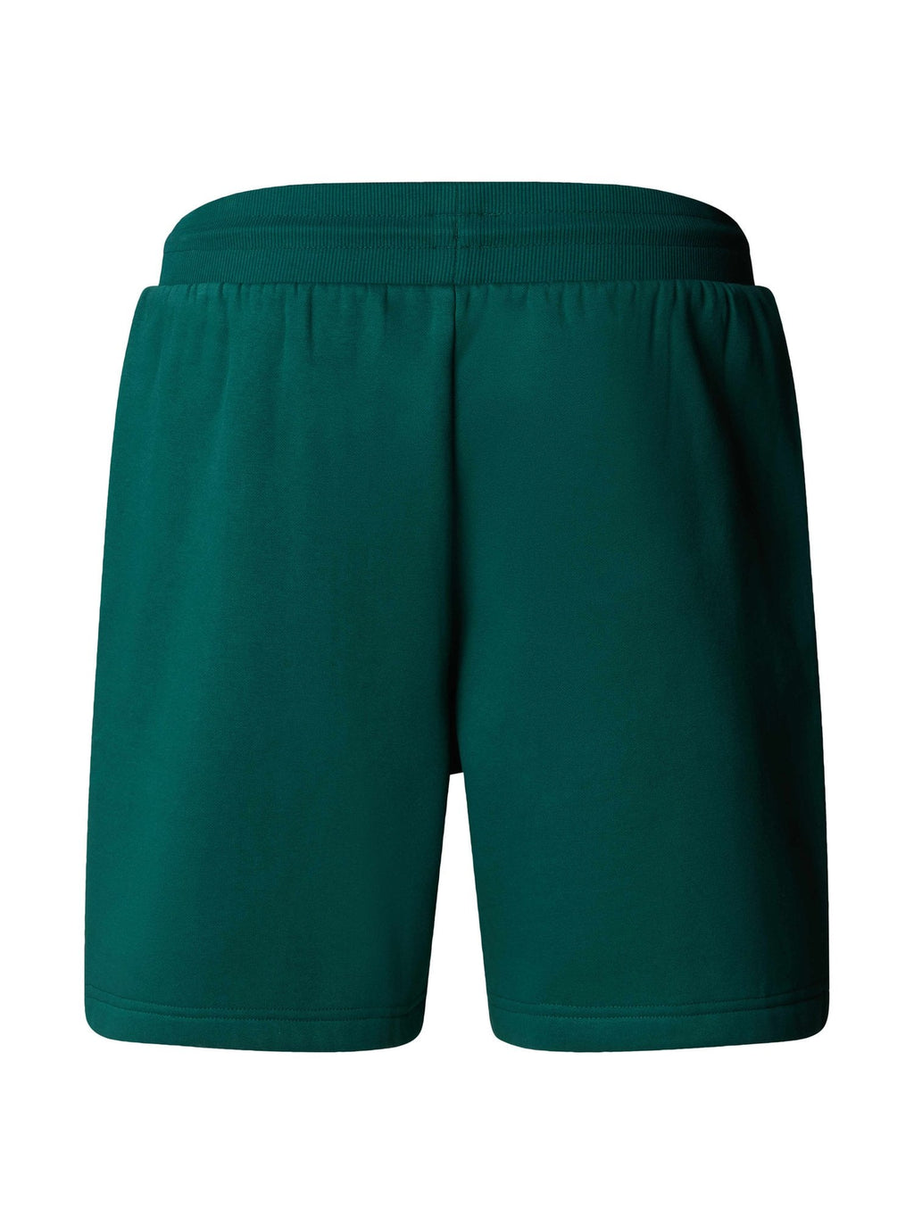 THE NORTH FACE Къси панталони M BOX NSE REGULAR SHORT