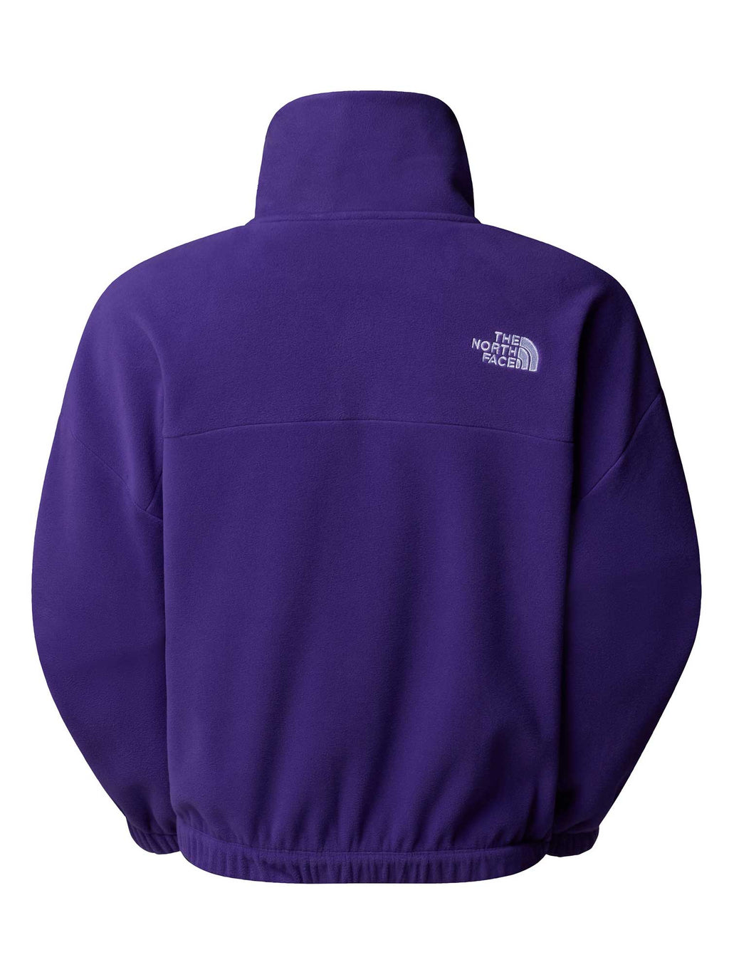 THE NORTH FACE Полар W 100 GLACIER HALF ZIP FLEECE