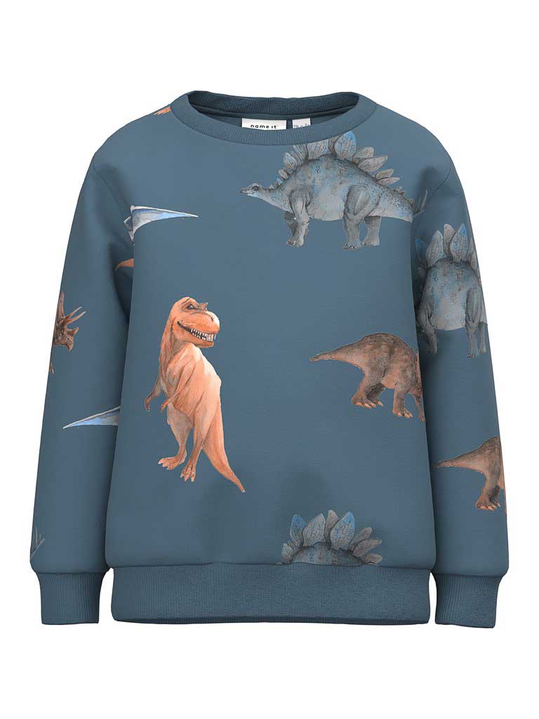 NAME IT Блуза NMMNODINO SWEAT BRU