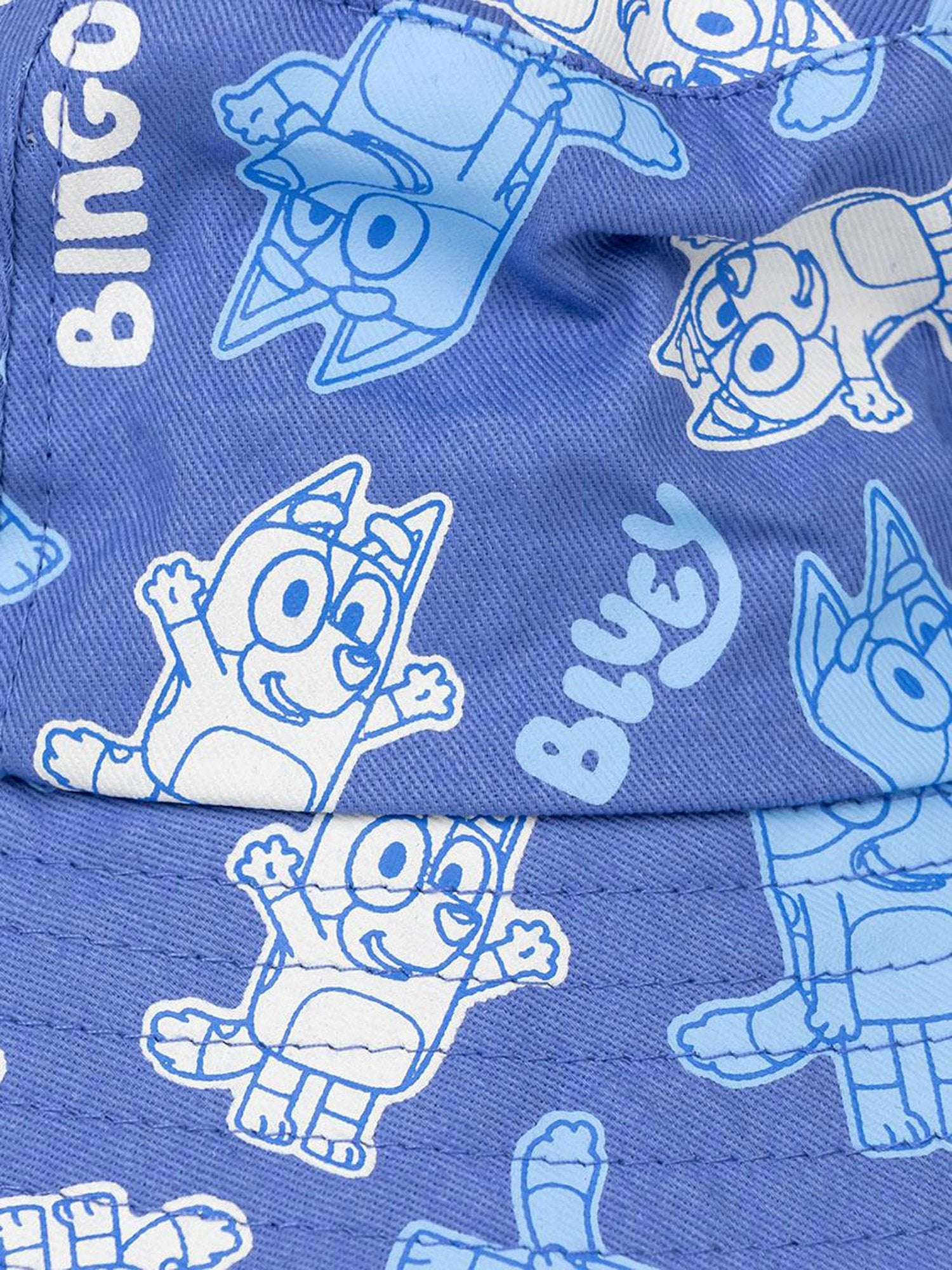 CERDA Шапка BLUEY