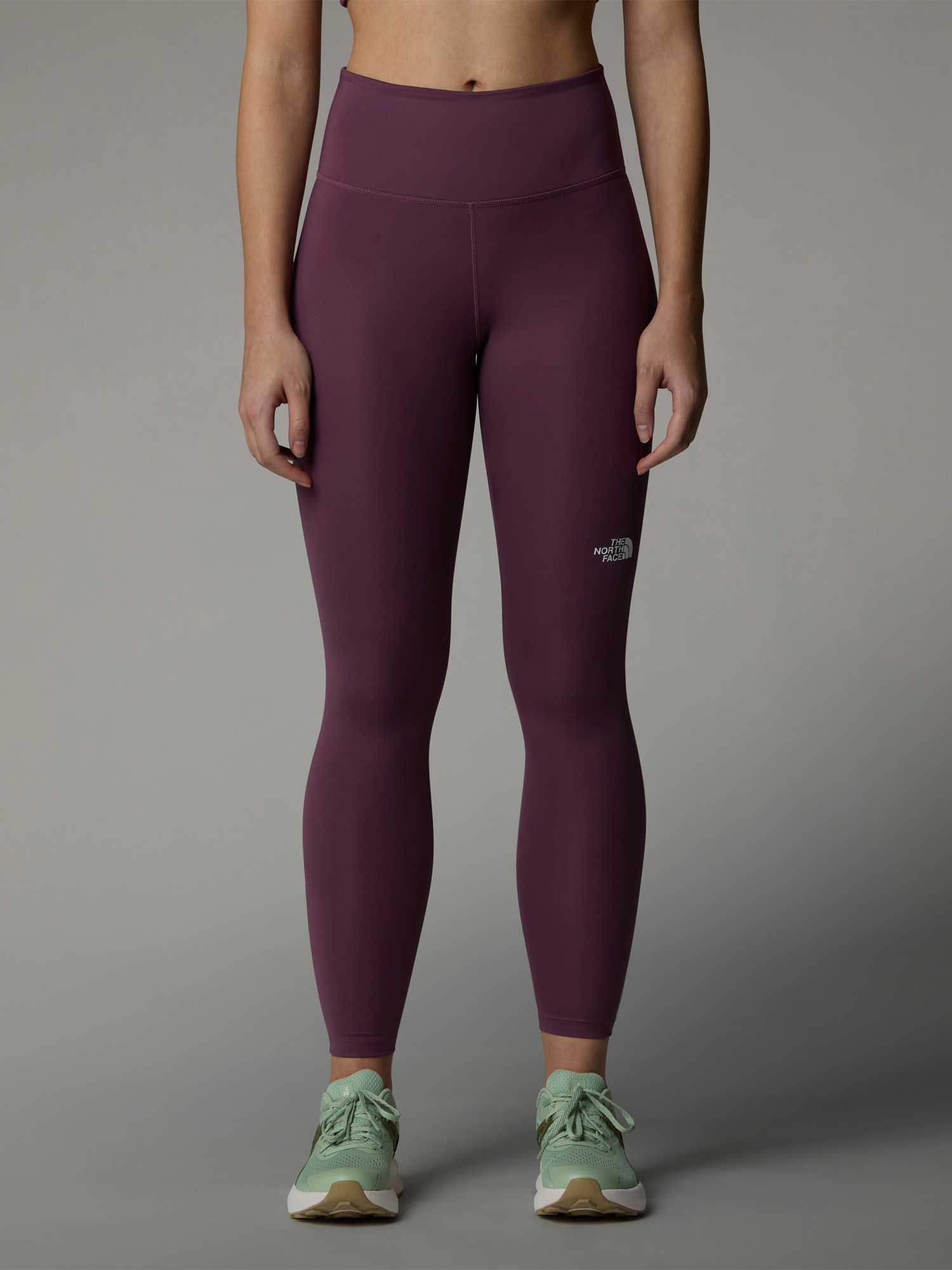 THE NORTH FACE Клин W FLEX 25IN TIGHT
