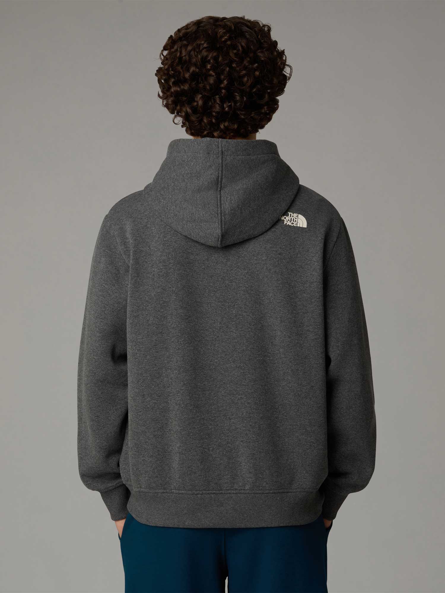 THE NORTH FACE Суитшърт M HOODIE VARSITY GRAPHIC