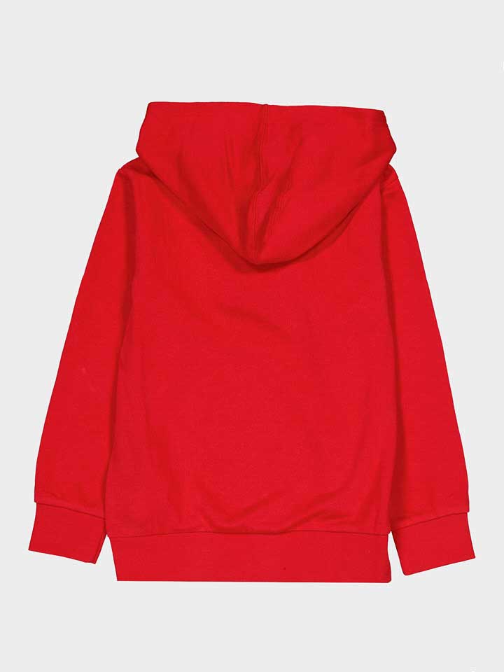 CHAMPION Суитшърт Hooded