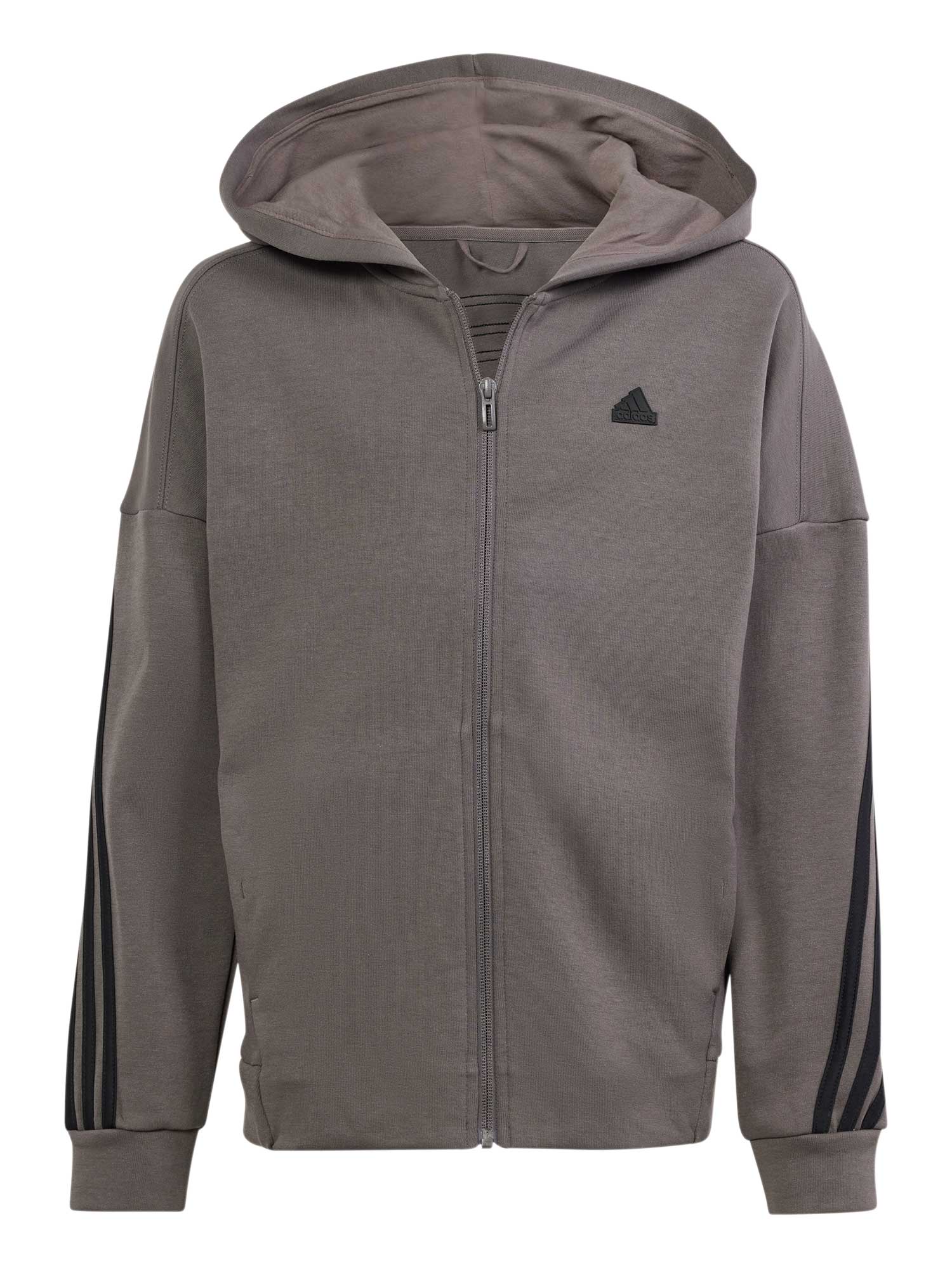 ADIDAS SPORTSWEAR Суитшърт Future Icons 3-Stripes