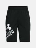 UNDER ARMOUR Къси панталони Prototype 2.0