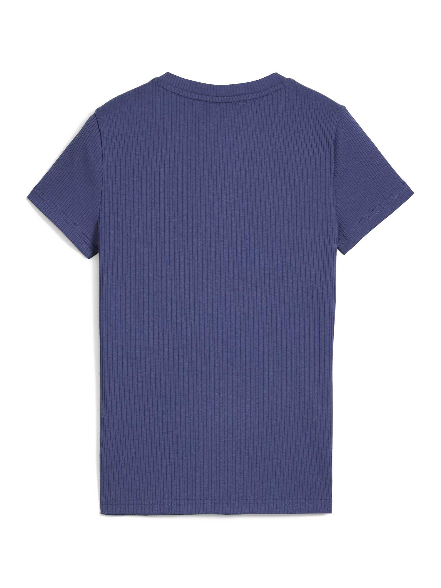 PUMA Тениска Graphics Ribbed Tee IV G