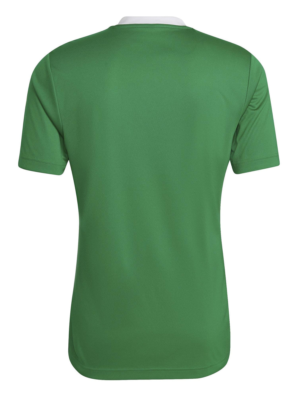 ADIDAS PERFORMANCE Тениска Entrada 22