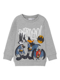 NAME IT Блуза NMMARNY LOONEY SWEAT BRU WAB