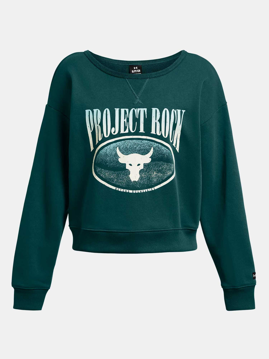 UNDER ARMOUR Блуза Pjt Rck HW Terry LS Q1