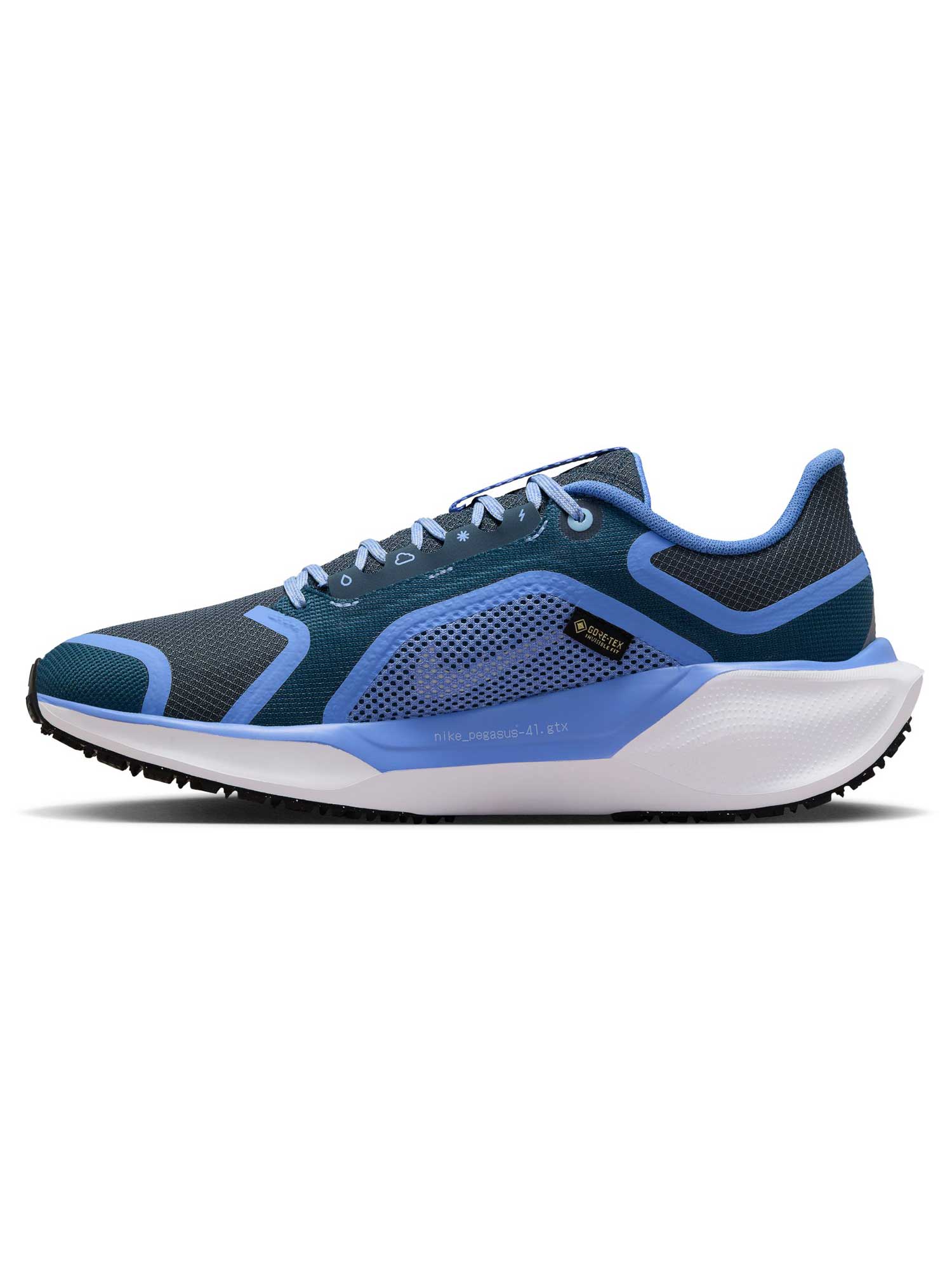 NIKE Обувки W AIR ZM PEGASUS 41 GTX