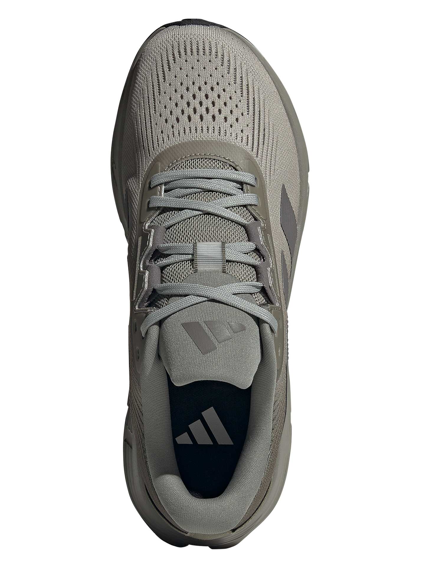 ADIDAS PERFORMANCE Обувки Questar 3 Running