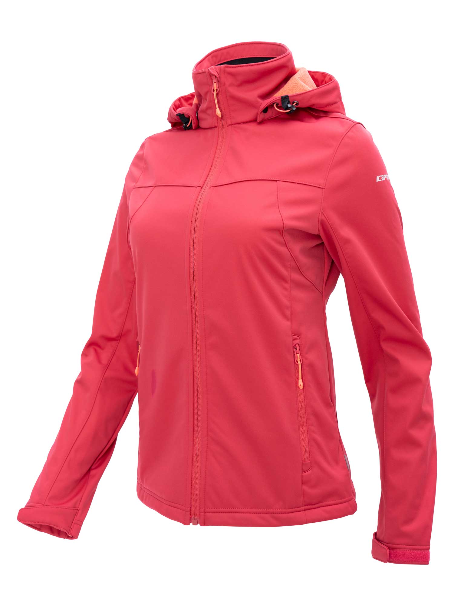 ICEPEAK Яке BOISE