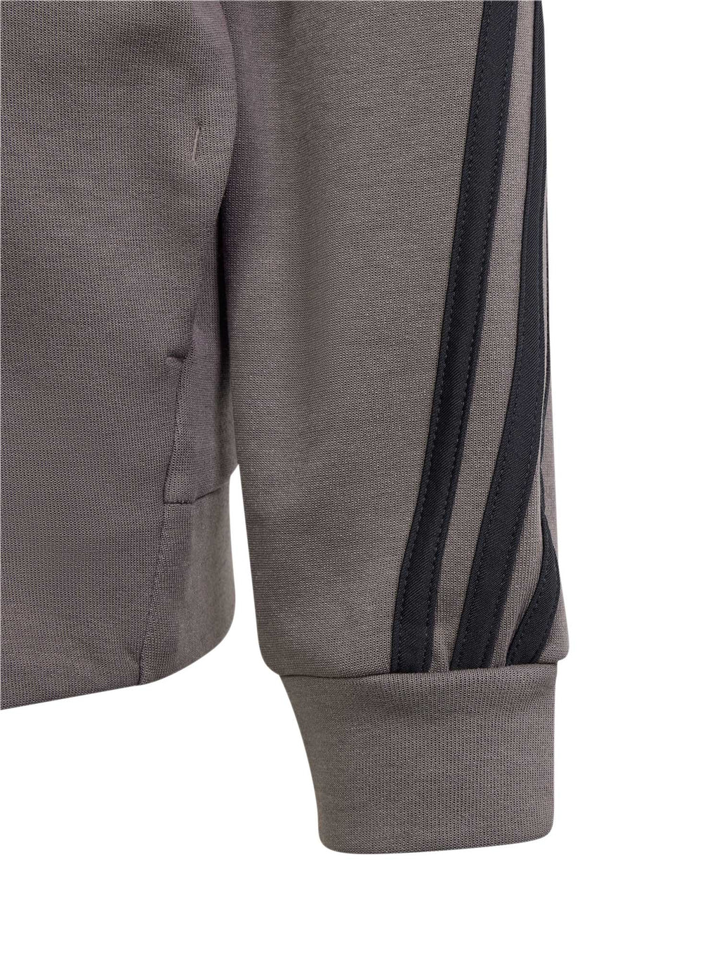 ADIDAS SPORTSWEAR Суитшърт Future Icons 3-Stripes