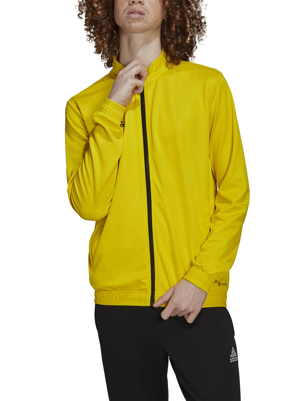 ADIDAS PERFORMANCE Спортно горнище Entrada 22