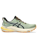 ASICS Обувки GT-2000 12 TR