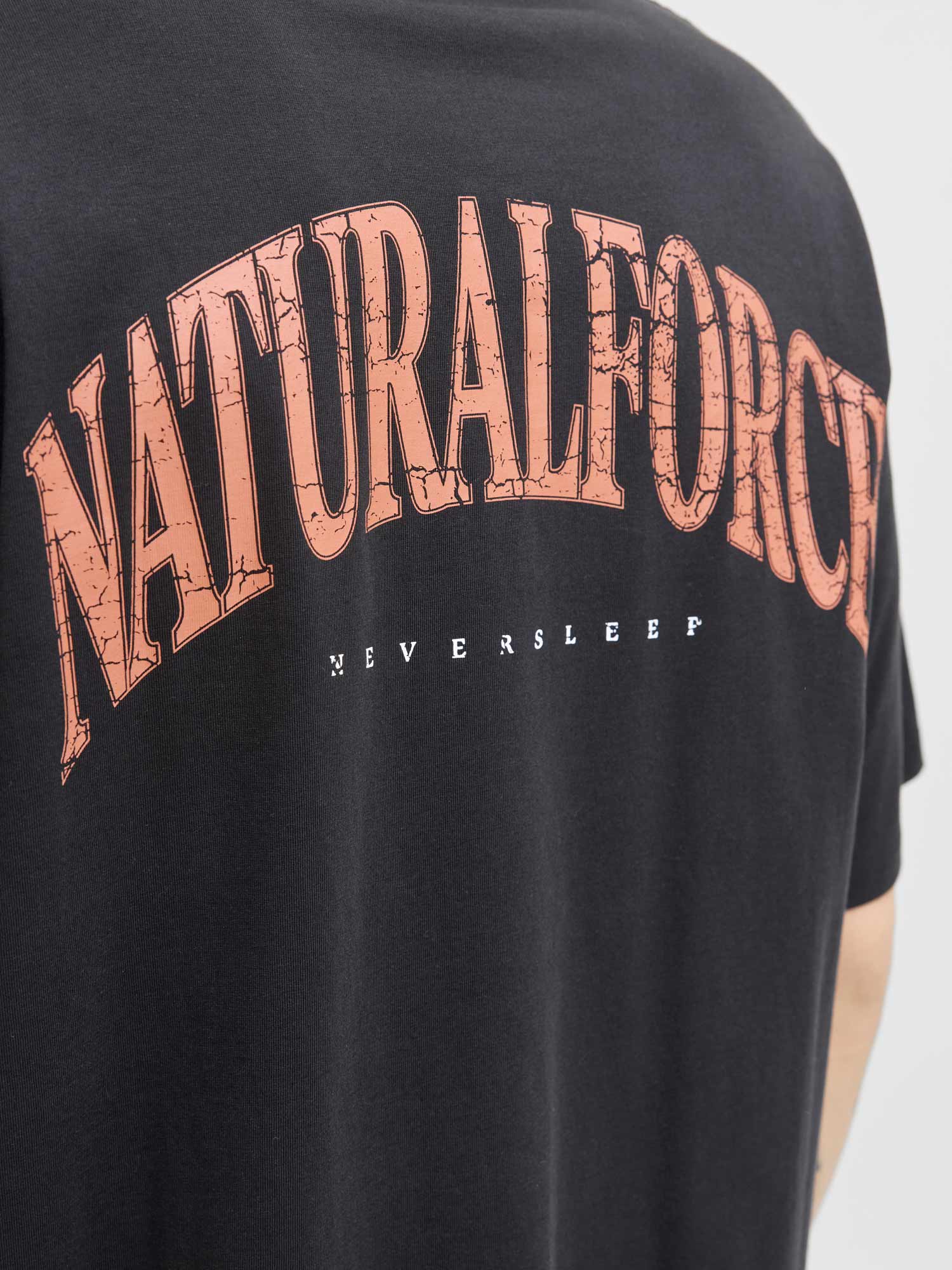 JACK & JONES Тениска JOREAGLEROCK GALLERY TEE SS CREW NECK TG