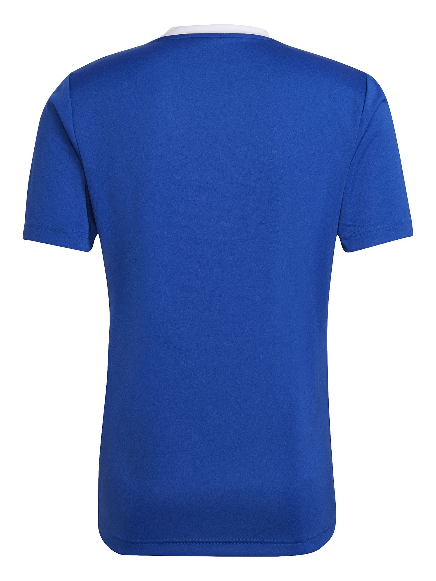 ADIDAS PERFORMANCE Тениска Entrada 22