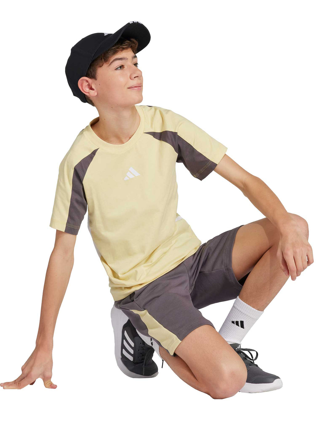 ADIDAS SPORTSWEAR Тениска Seasonal Essentials Colorblock T-Shirt